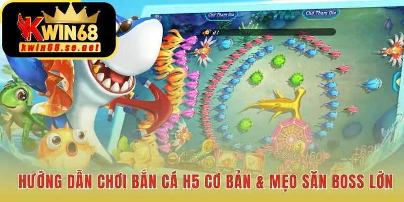 Cung cấp mẹo chơi cơ bản và chiến thuật săn boss lớn