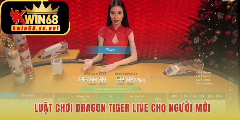 Luật chơi Dragon Tiger Live nhấn mạnh quy tắc hoàn tiền cược